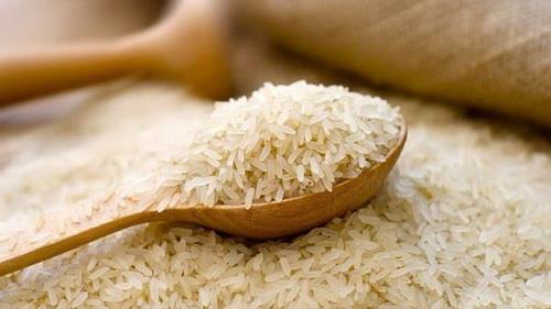 Some 2,000 tons of rice exported in a year: SCI